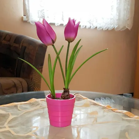 アパート Kunze Mistelgau