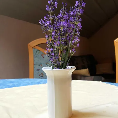 Kunze Apartment *
